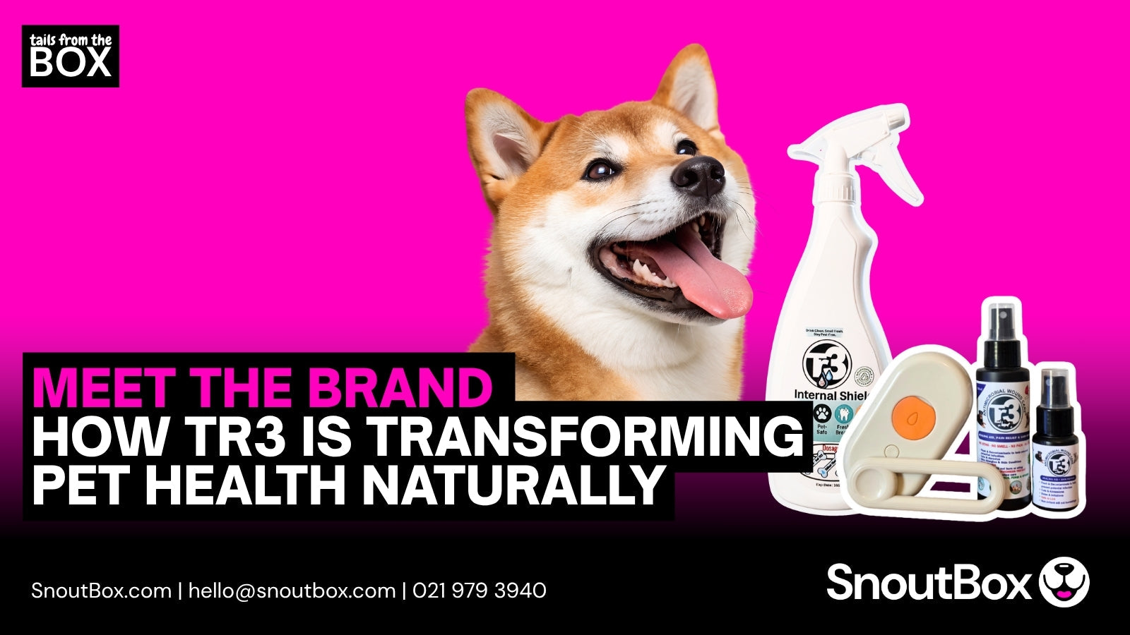 From the Inside Out: How TR3 Is Transforming Pet Health Naturally