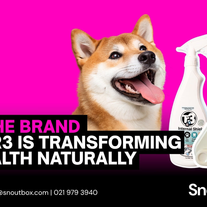 From the Inside Out: How TR3 Is Transforming Pet Health Naturally