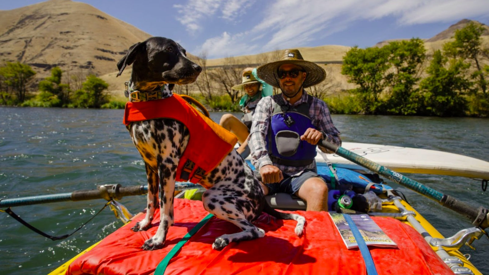 Spring into Play: 7 Outdoor Toys Your Dog Will Love