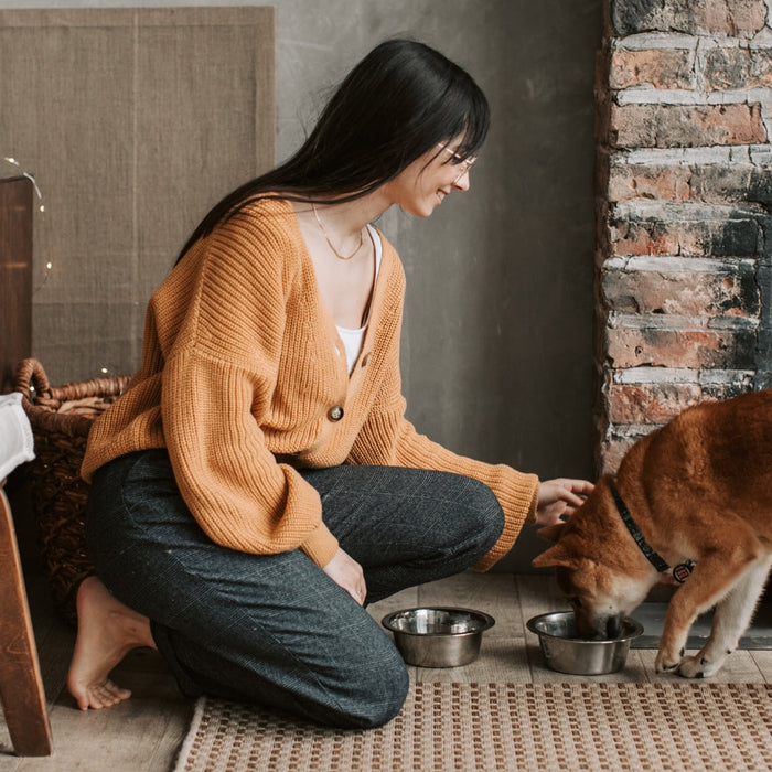 How to Puppy-Proof Your Home: 30 Essential Safety Tips for South African Puppy Owners