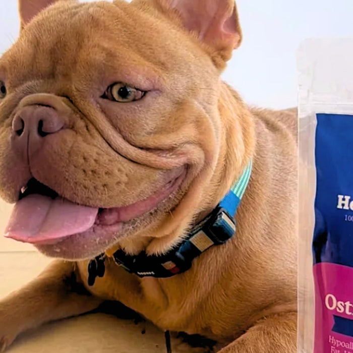 What Are the Best Natural Dog and Cat Treats in South Africa? Q&A With Herb&Hound