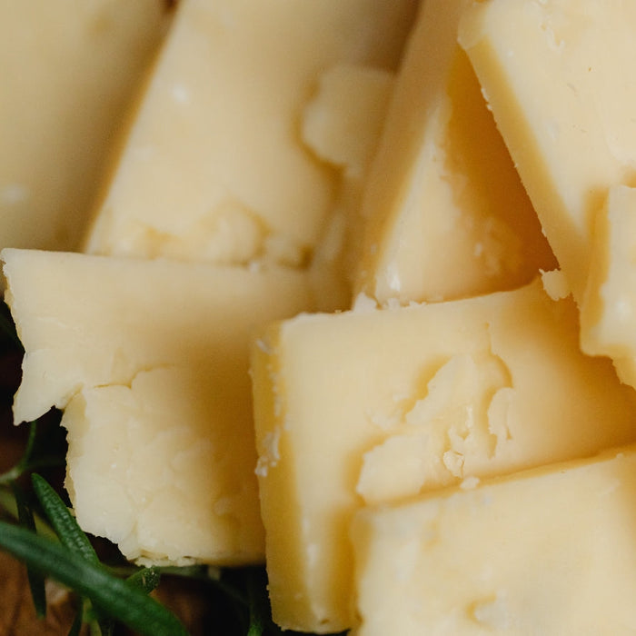 Can Dogs Eat Cheese Safely? Vet-Approved Answers for South African Dogs