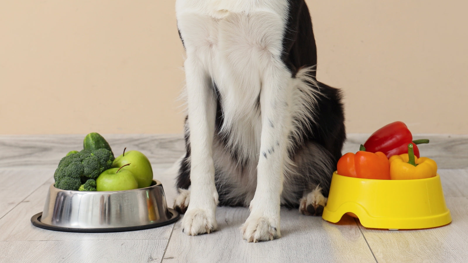 Can Dogs Eat Vegetables? What’s Healthy and Safe