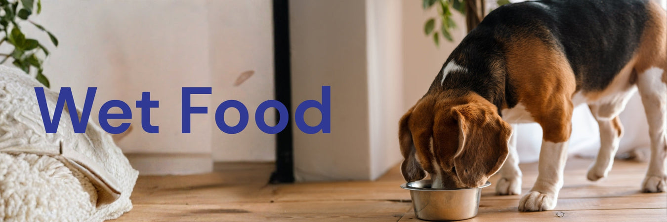Dog Wet Food
