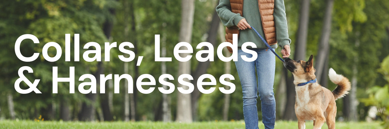 Dog Collars, Leads & Harnesses