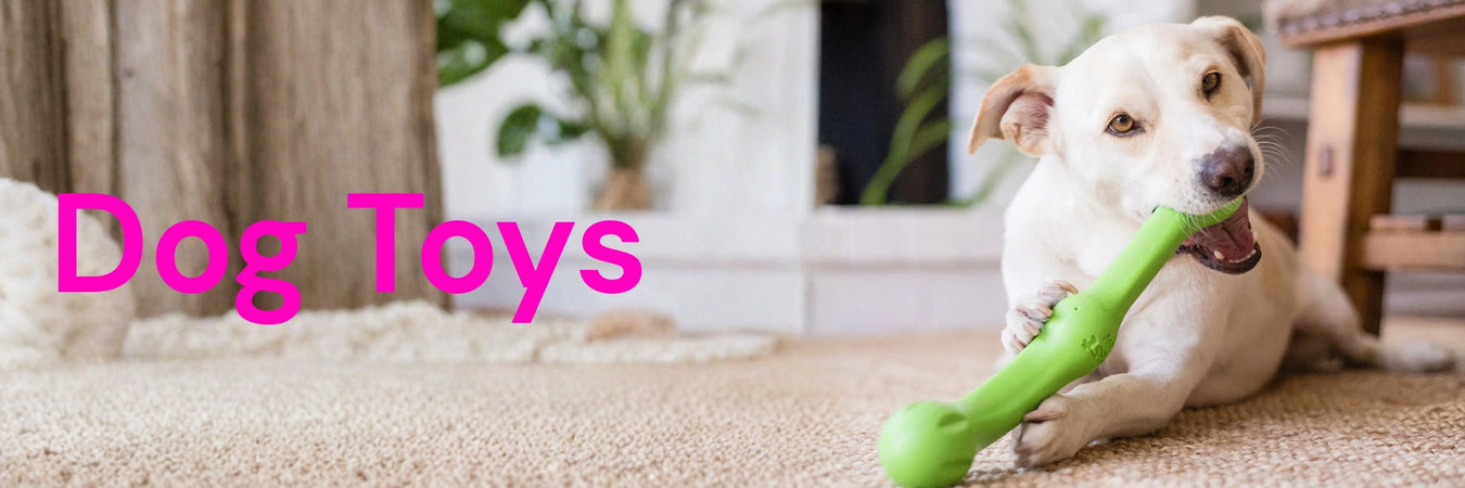 Dog Toys