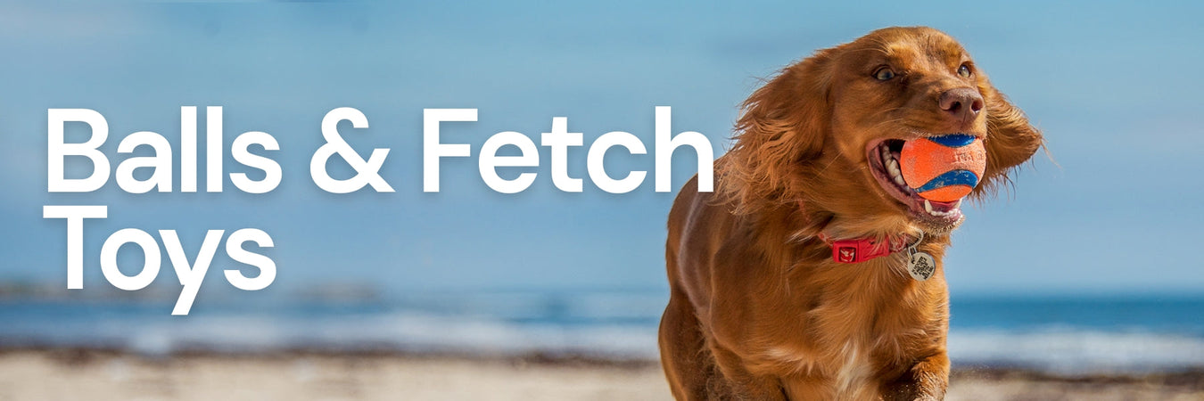 Dog Balls & Fetch Toys