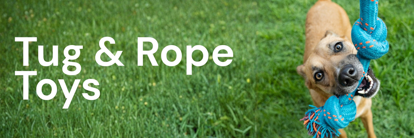 Dog Tug & Rope Toys