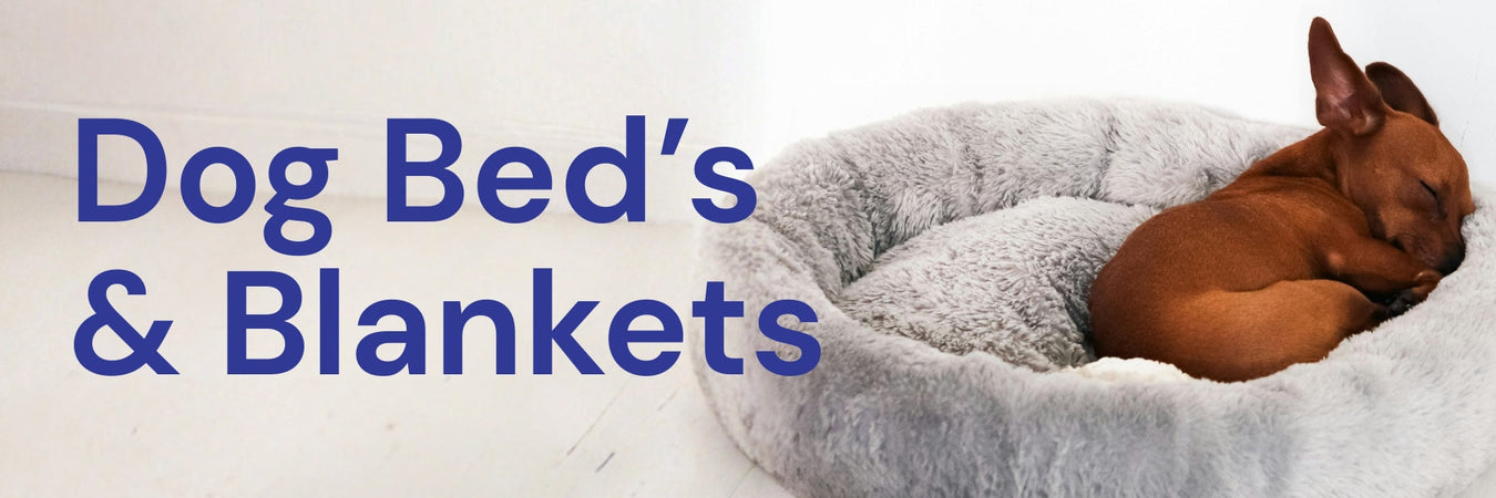 Dog Beds & Blankets