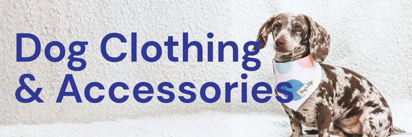 Dog Clothing & Accessories
