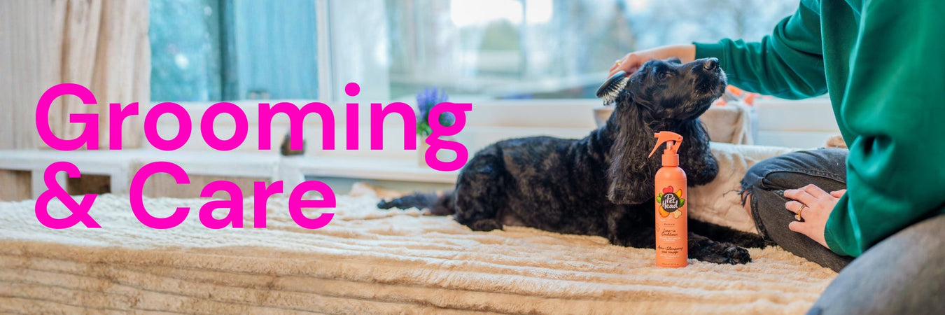 Dog Grooming & Care