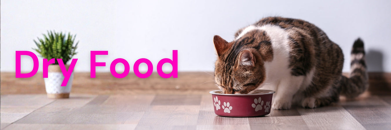 Cat Dry Food