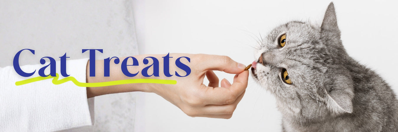 Cat Treats
