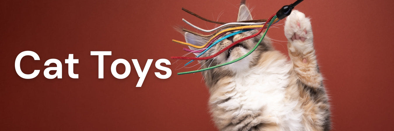 Cat Toys