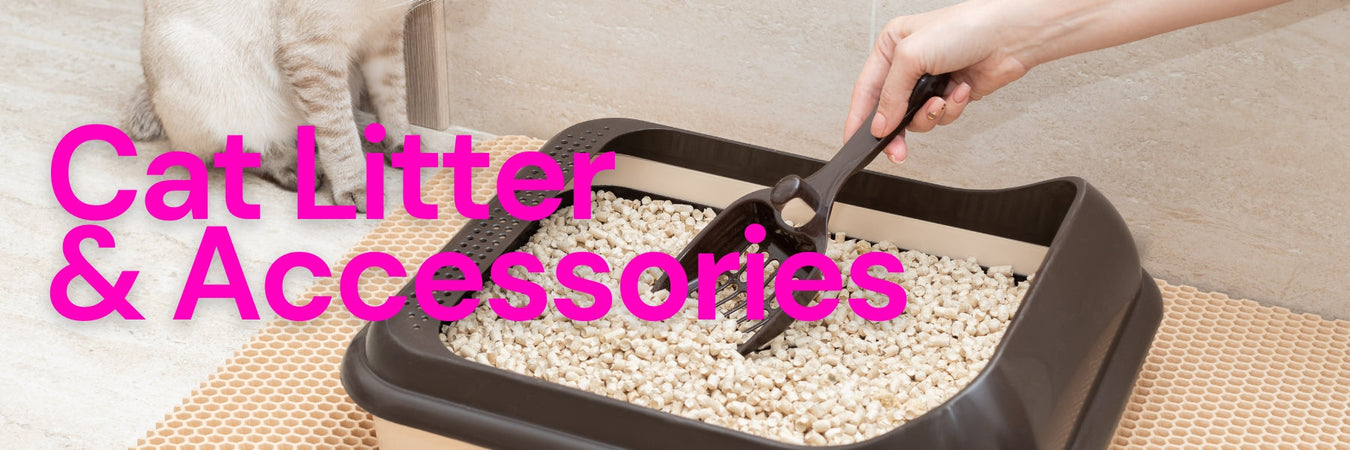 Cat Litter & Accessories