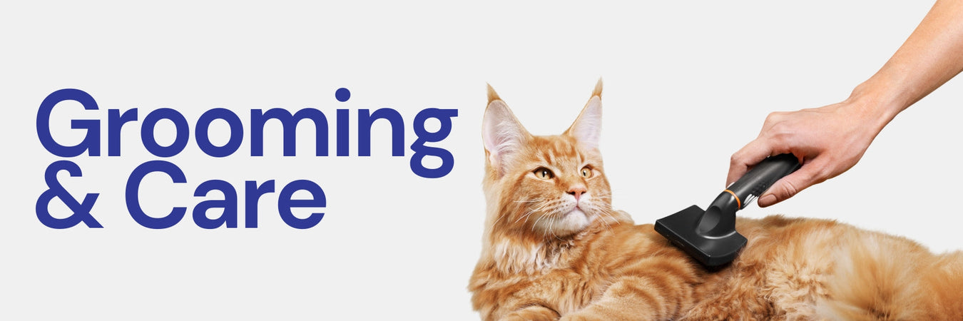 Cat Grooming & Care