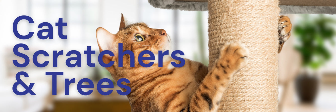 Cat Scratchers & Trees