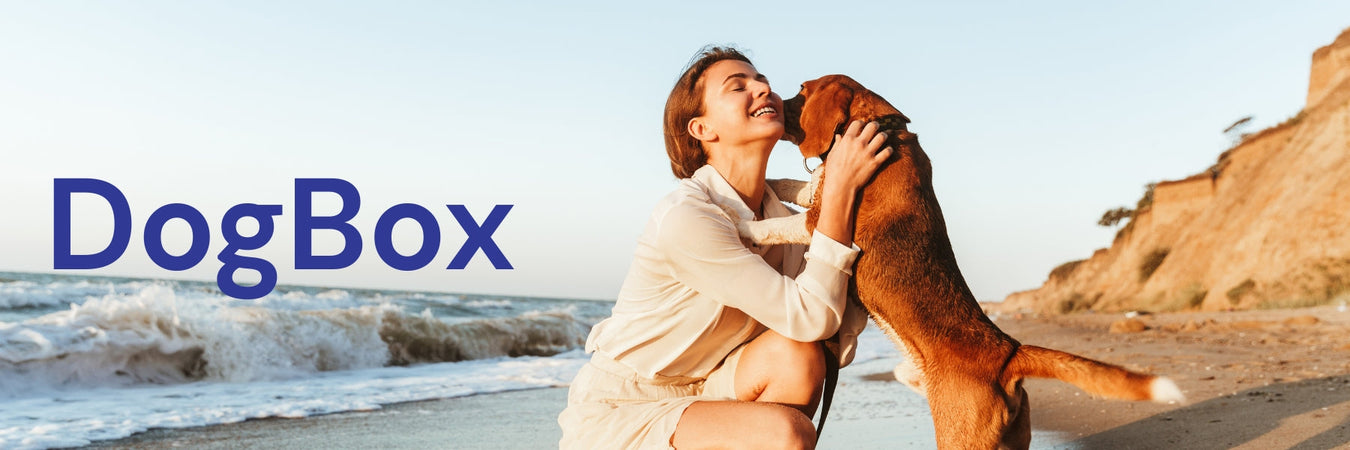 DogBox