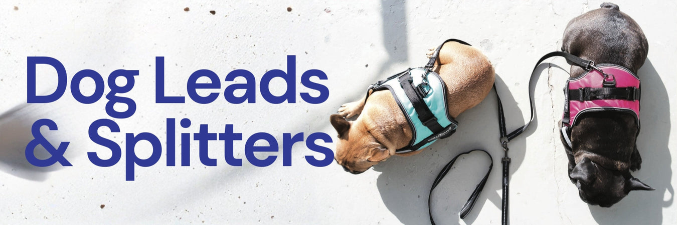Dog Leads & Splitters