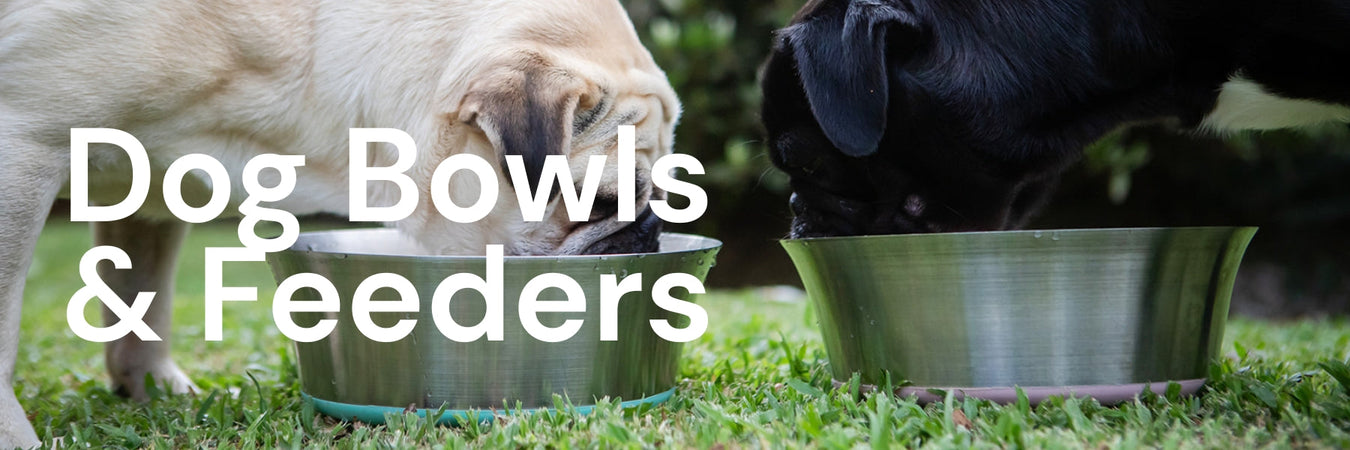 Dog Bowls & Feeders
