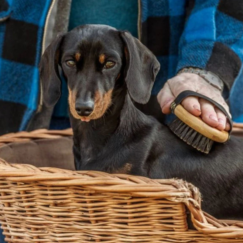 Mikki Bamboo Palm Brush – Soft Bristle