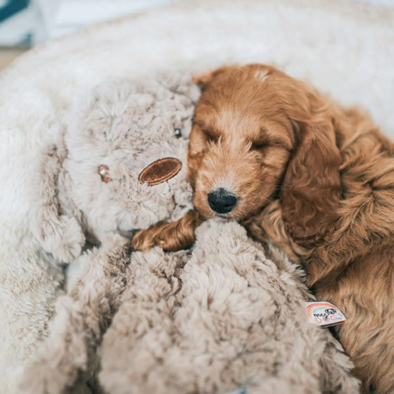 Rosewood My Dog Puppy Plush Dog Toy