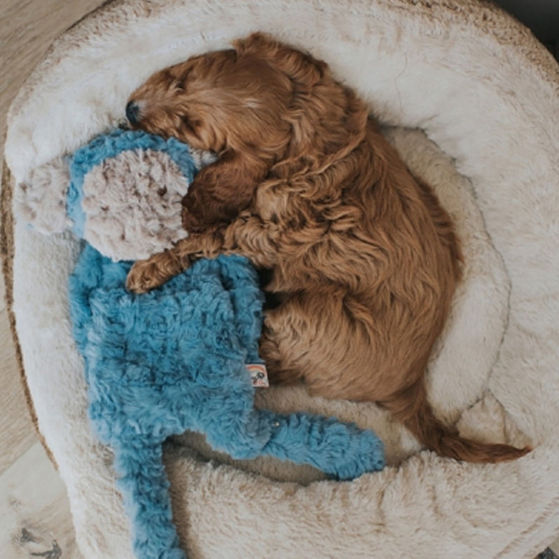 Rosewood My Dog Monkey Plush Dog Toy