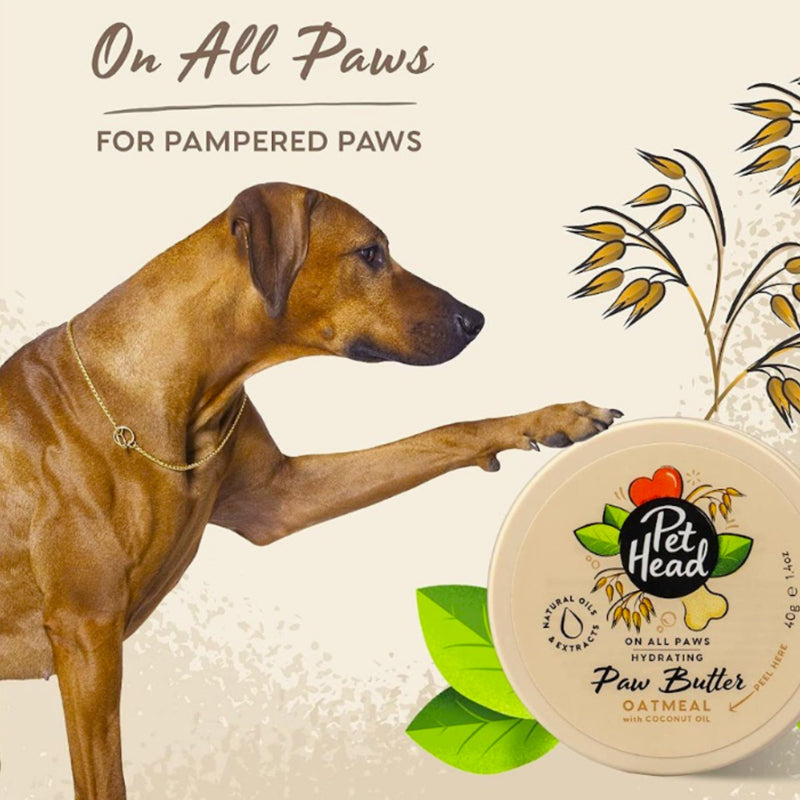 Pet Head Furtastic Paw and Nose Butter – Oatmeal (50g)