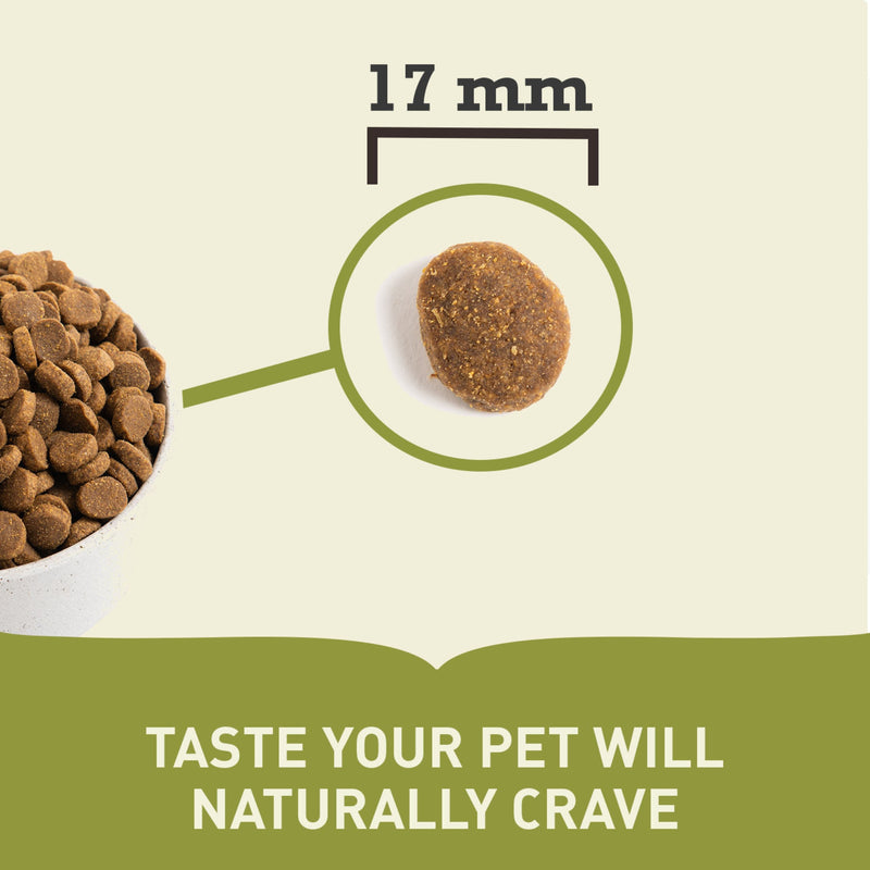 ACANA™ Adult Large Breed Dog Dry Food – Chicken, Hake