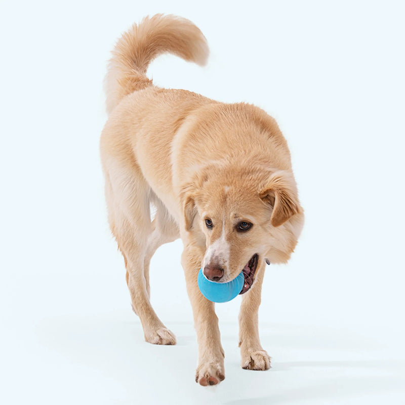 West Paw Zogoflex Jive® Dog Ball Fetch & Chew Toy