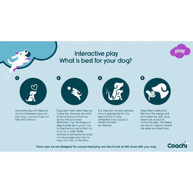 Company of Animals Coachi Tuggi Hide