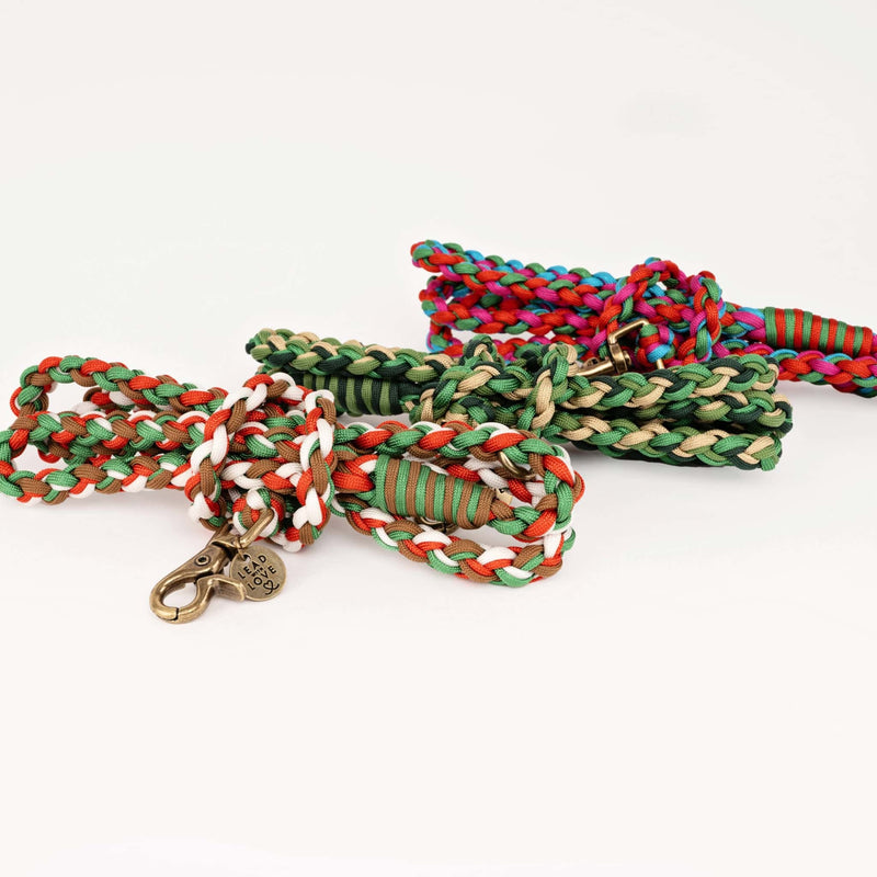 Lead with Love Dogmas Classic Dog Lead