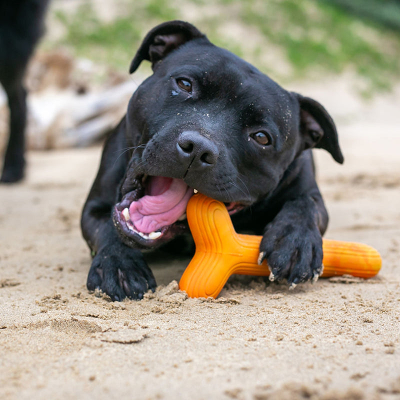 Dog’s Life FetchStix – Natural Rubber Chew & Fetch Dog Toy