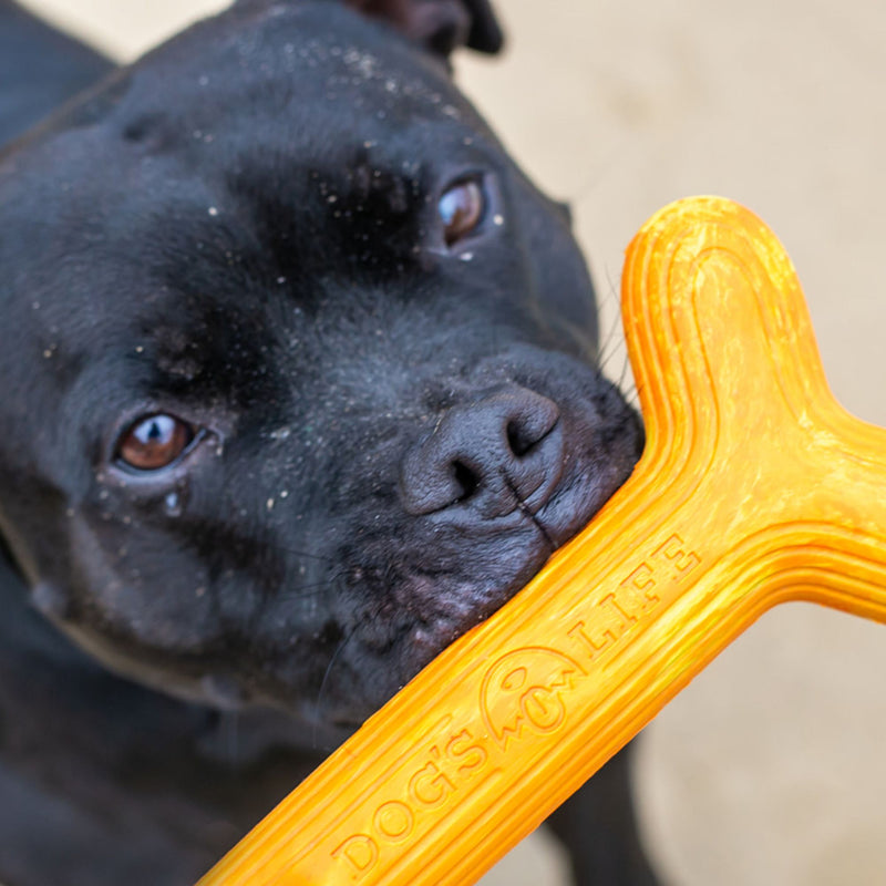 Dog’s Life FetchStix – Natural Rubber Chew & Fetch Dog Toy