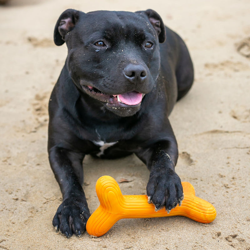 Dog’s Life FetchStix – Natural Rubber Chew & Fetch Dog Toy