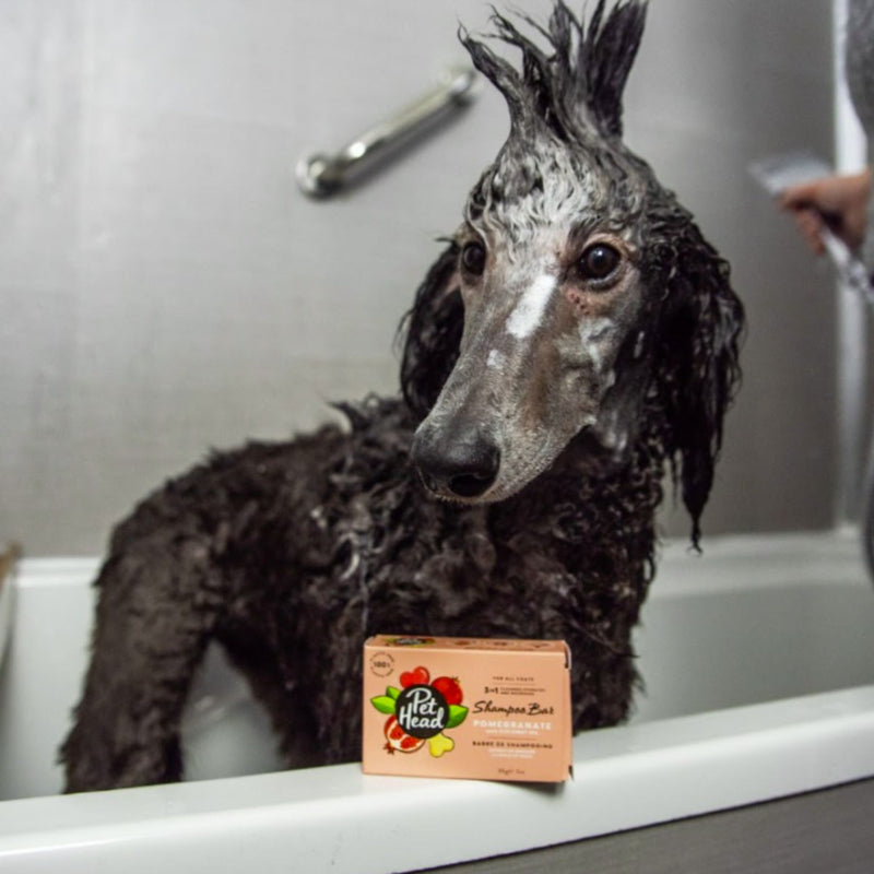 Pet Head Pomegranate 3-in-1 Shampoo Bar – Eco-Friendly & Nourishing (85g)
