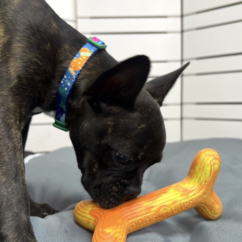 Dog’s Life FetchStix – Natural Rubber Chew & Fetch Dog Toy