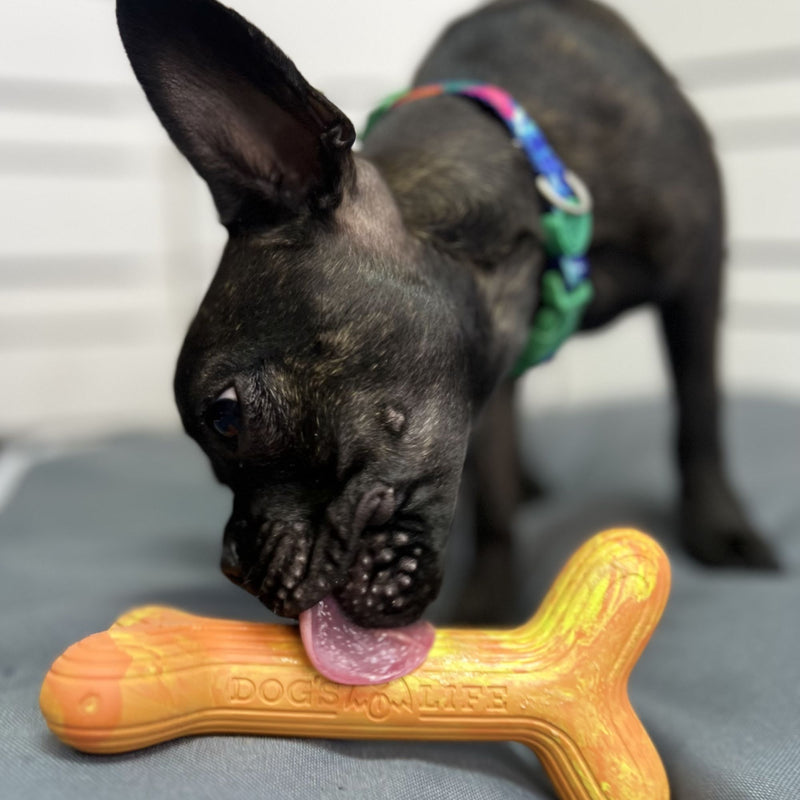 Dog’s Life FetchStix – Natural Rubber Chew & Fetch Dog Toy