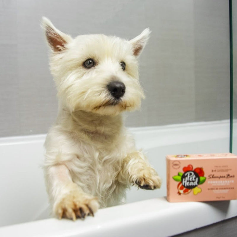 Pet Head Pomegranate 3-in-1 Shampoo Bar – Eco-Friendly & Nourishing (85g)