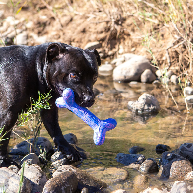 Dog’s Life FetchStix – Natural Rubber Chew & Fetch Dog Toy