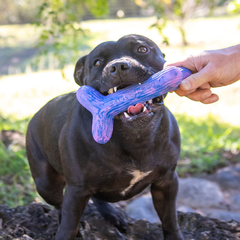 Dog’s Life FetchStix – Natural Rubber Chew & Fetch Dog Toy