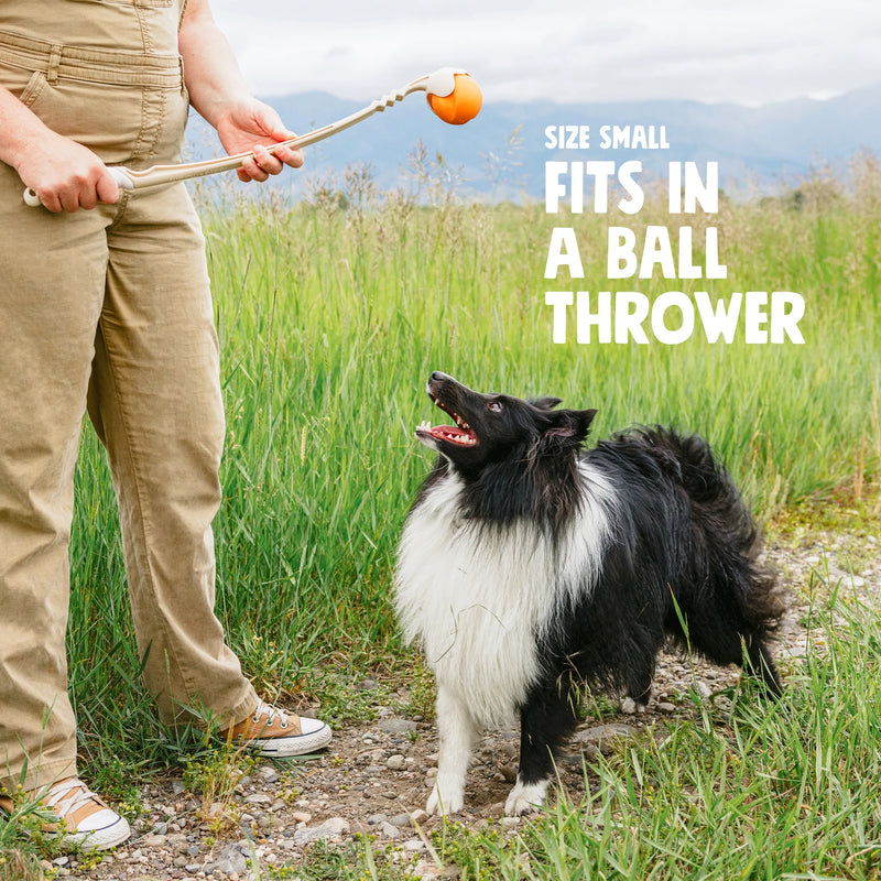 West Paw Zogoflex Jive® Dog Ball Fetch & Chew Toy