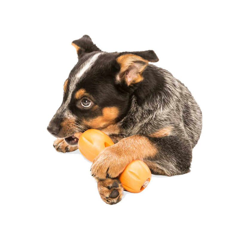 West Paw Zogoflex Qwizl® Treat-Holding Chew Toy