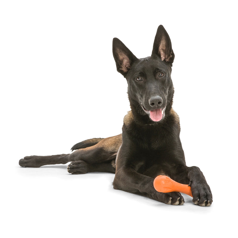 West Paw Hurley Bone Durable Dog Chew & Fetch Toy