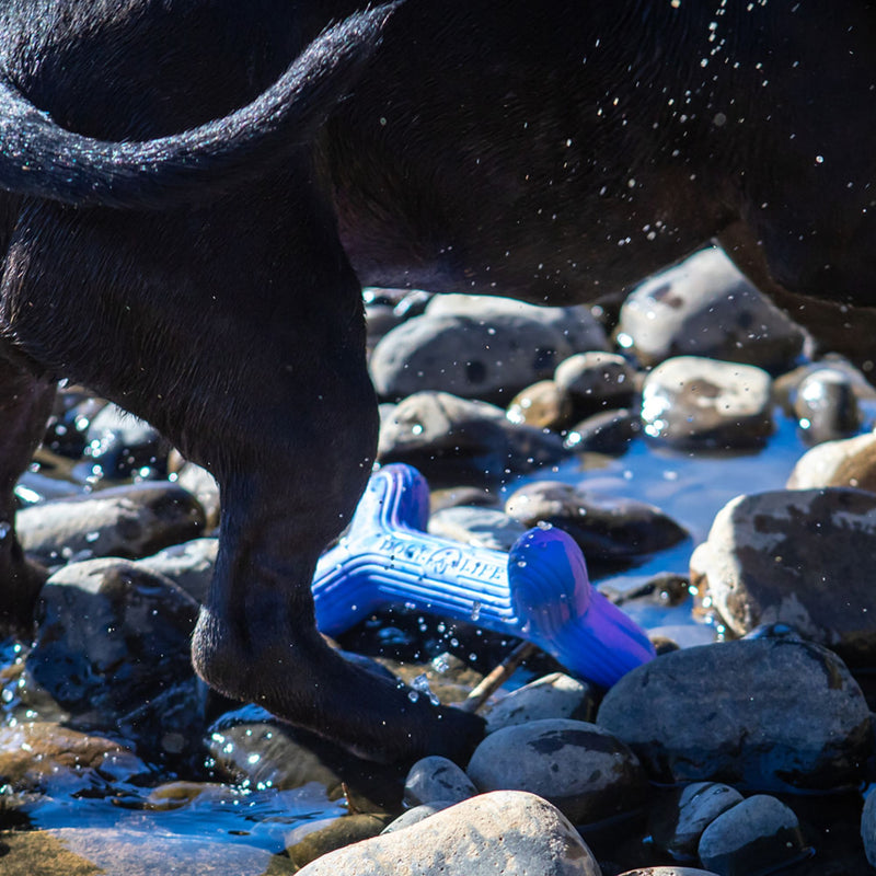 Dog’s Life FetchStix – Natural Rubber Chew & Fetch Dog Toy