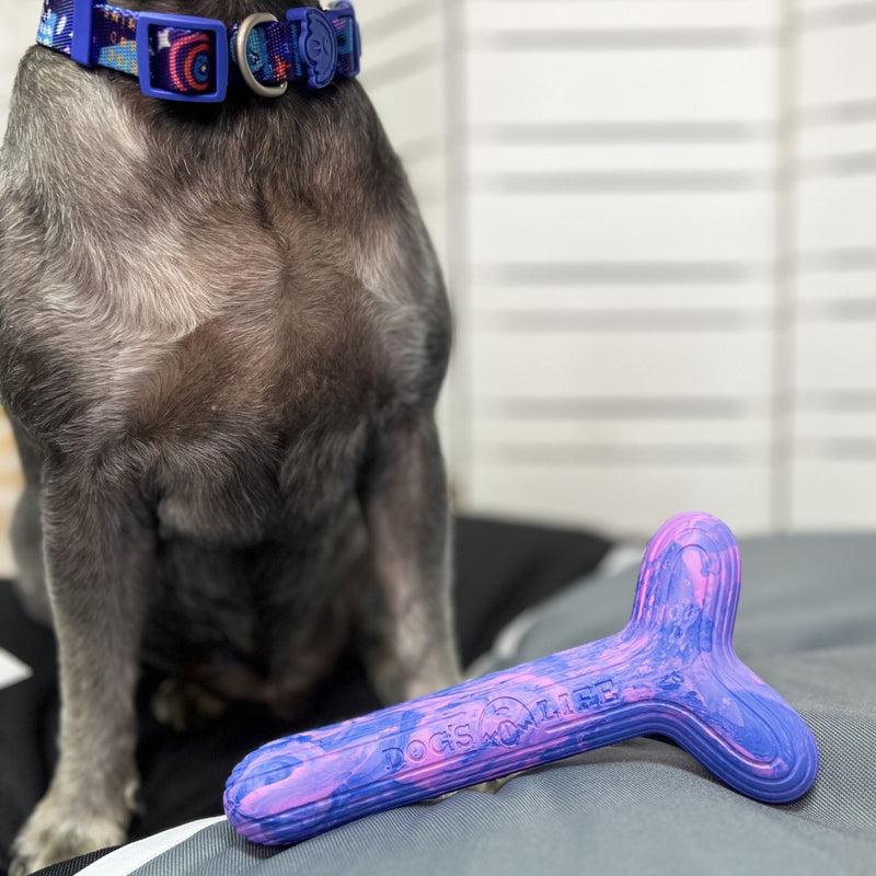 Dog’s Life FetchStix – Natural Rubber Chew & Fetch Dog Toy