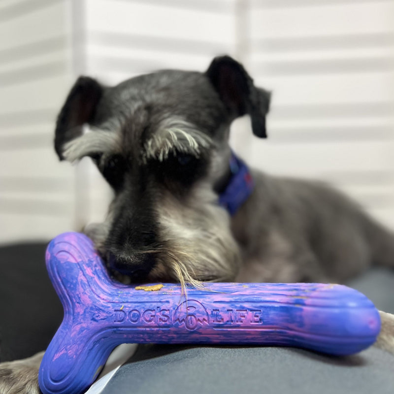 Dog’s Life FetchStix – Natural Rubber Chew & Fetch Dog Toy