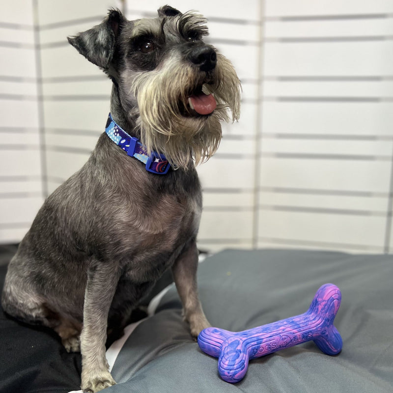 Dog’s Life FetchStix – Natural Rubber Chew & Fetch Dog Toy