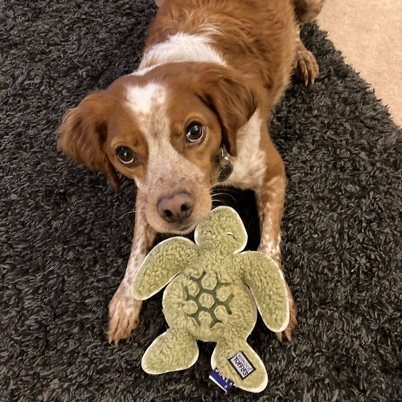 PetLove RESPLOOT® Tuffles Turtle Eco-Friendly Dog Toy