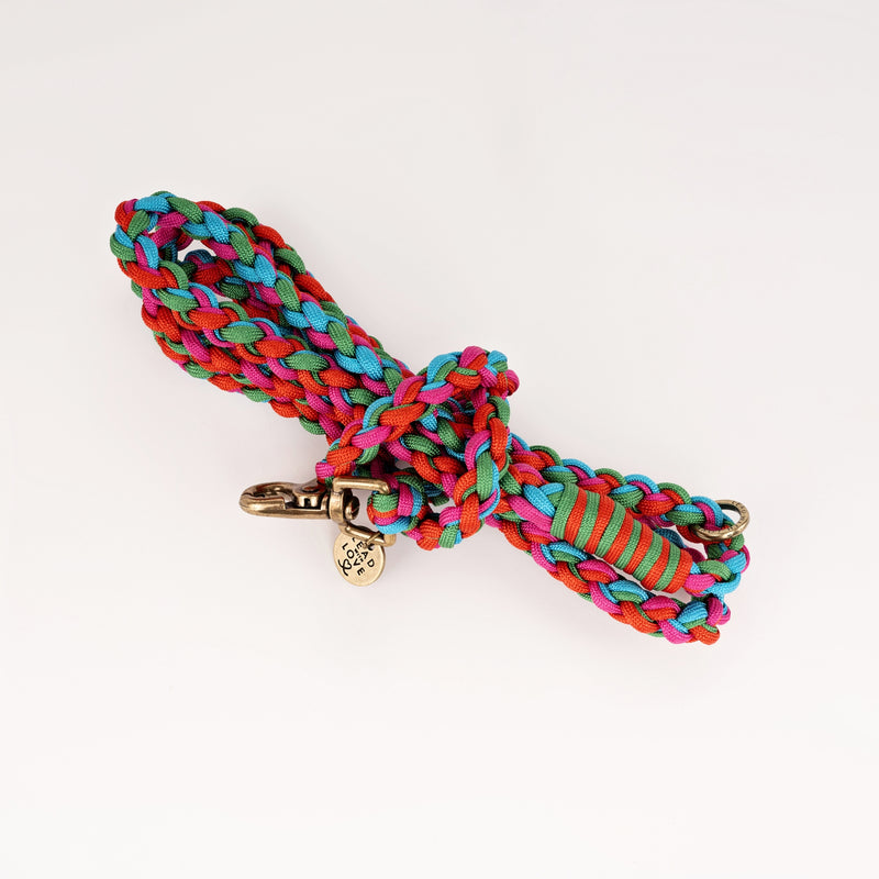 Lead with Love Dogmas Classic Dog Lead